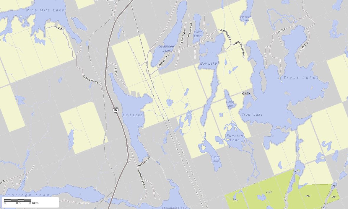 Crown Land Map of Bell Lake in Municipality of McDougall and the District of Parry Sound
